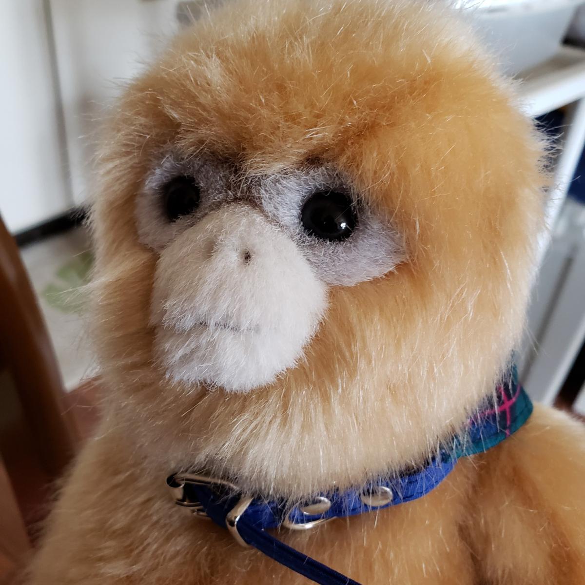 Nuidol ぬいどり好きのコミュニティ